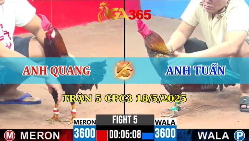 Trận 5 CPC3 18/5/2025